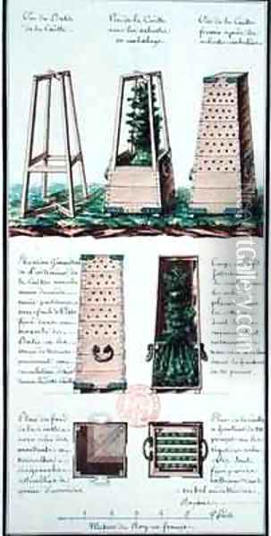 Illustration of a special cabinet for transporting shrubs and bushes Oil Painting - Gaspard Duche de Vancy
