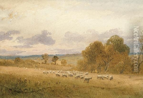 A Country Landscape With Sheep, Near Colchester Oil Painting - Thomas Pyne
