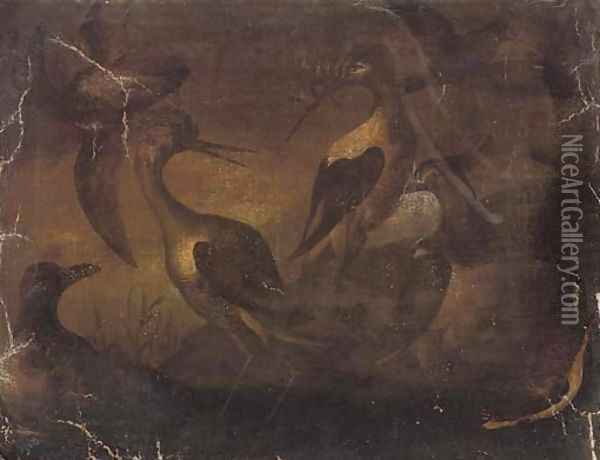 Storks in a river landscape Oil Painting - Baldassare De Caro