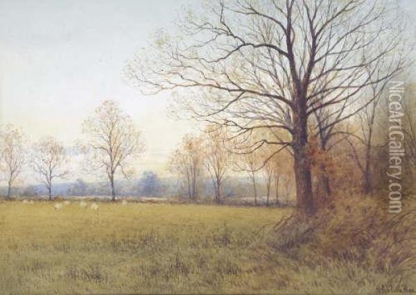 Autumn Landscapes Oil Painting - Alfred Ashdown Box