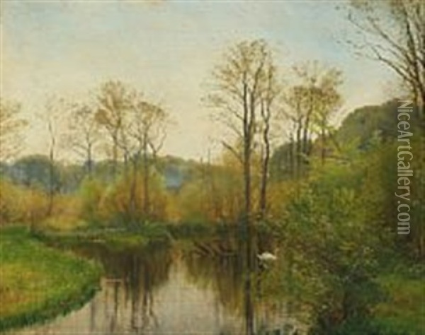 Forest Lake With Floating Swan A Beautiful Spring Day Oil Painting - Carl Frederik Peder Aagaard