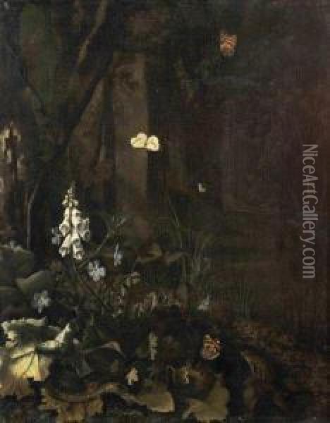 Papillons, Grenouille Et Serpents Dans Un Sous Bois Oil Painting - Mathias Withoos