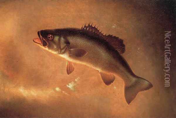 Broadtail Bass Oil Painting - Gurdon Trumbull
