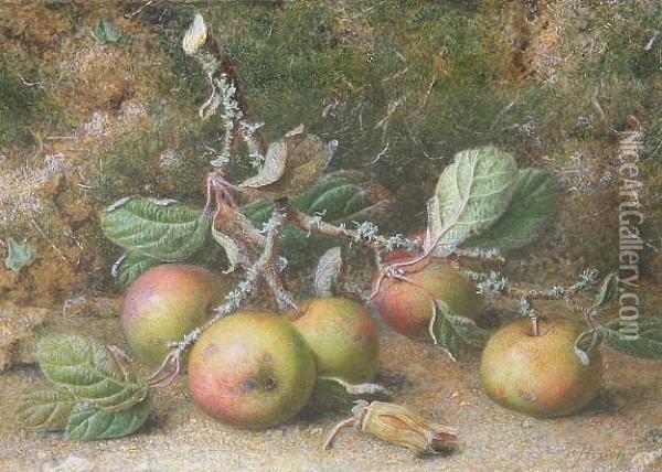 A Still Life Study Of An Apple Bough And A Cobnut, Signed Oil Painting - William B. Hough