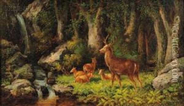 Deer In A Woodland View Oil Painting - John White Allen Scott