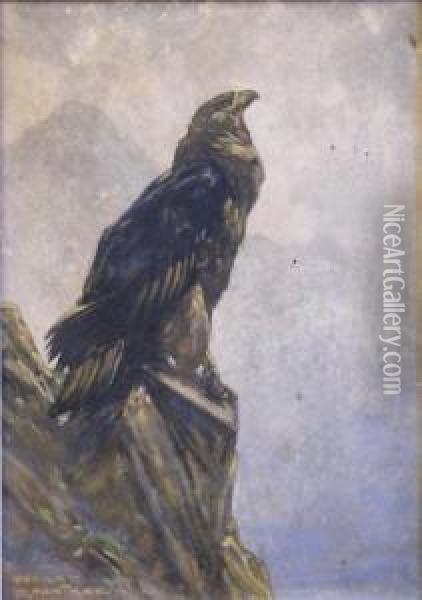 A Mountain Eagle. Oil Painting - Harry Rountree