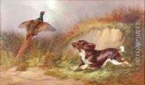 Spaniel Flushing A Pheasant Oil Painting - Colin Graeme Roe