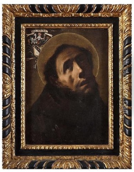 Saint Francis Oil Painting - Francesco del Cairo