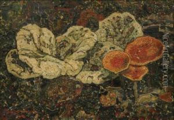 Mushrooms Oil Painting - Jan Adam Zandleven