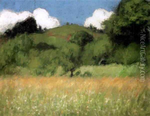 Nagybanyai Domboldal (hillside In Nagybanya) Oil Painting - Jeno Maticska