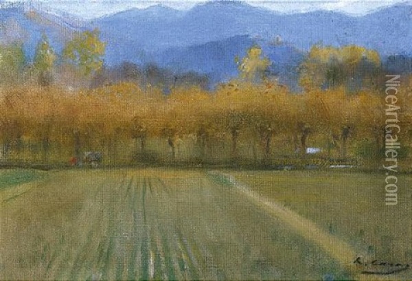 Paisaje Otonal De San Benet De Bages (autumn Landscape, San Benet De Bages) Oil Painting - Ramon Casas