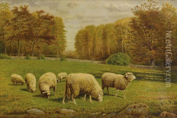 Grazing Sheep Oil Painting - Clinton Loveridge