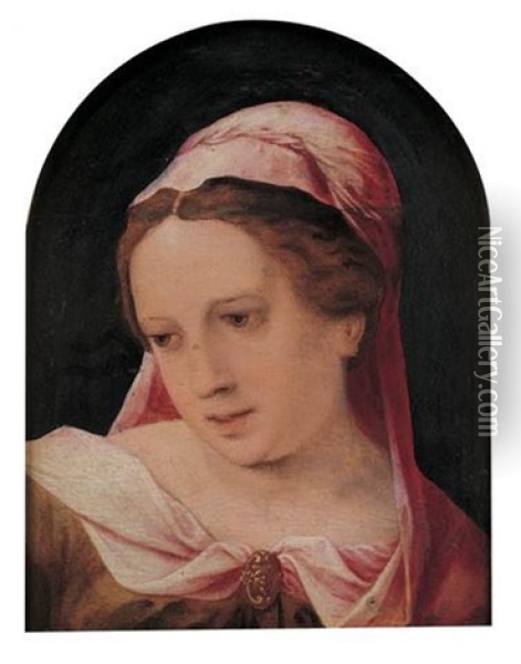 Portrait De Femme Au Voile Rose Oil Painting - Jan Sanders (Jan van) Hemessen