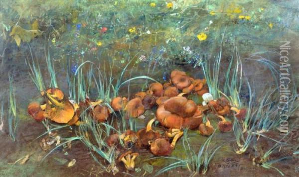 Natura Morta Con Funghi Oil Painting - Giuseppe Casciaro