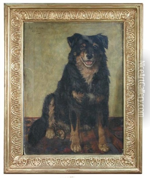 Jock, A Favourite Collie Oil Painting - George Paice
