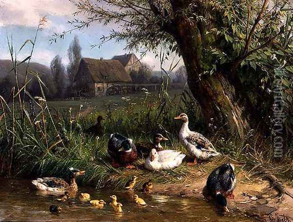 Mallard Ducks with their Ducklings Oil Painting - Carl Jutz