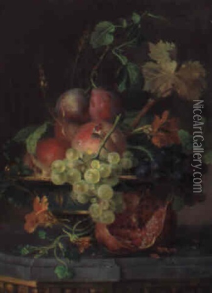 Peaches, Plums And Grapes In A Vase With A Pomegranate...on A Ledge Oil Painting - Willem van Leen