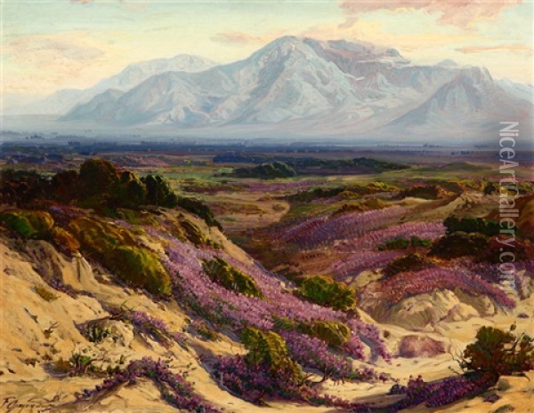 Blooming Verbena In The Desert And Mt. San Jacinto Oil Painting - Fred Grayson Sayre
