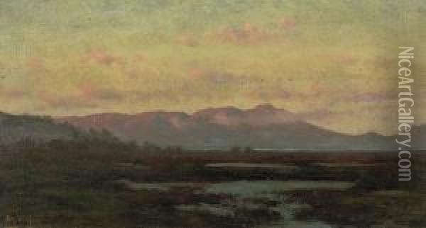 A Marsh At Sunset With Mount Tamalpais In The Distance Oil Painting - Charles Robinson