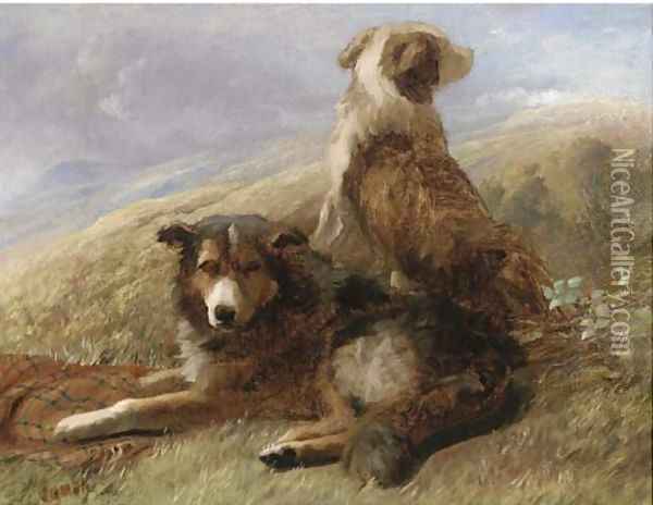 Sheepdogs resting in a landscape Oil Painting - English School