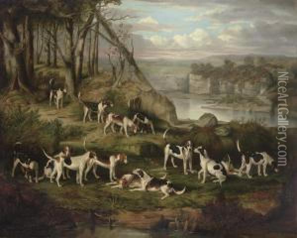 A Pack Of Foxhounds On A Bank Above A Rocky Gorge Oil Painting - William Smith