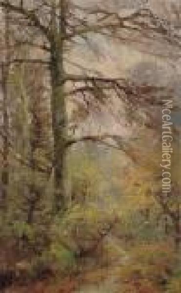 Wooded Landscape Oil Painting - Joseph Caron