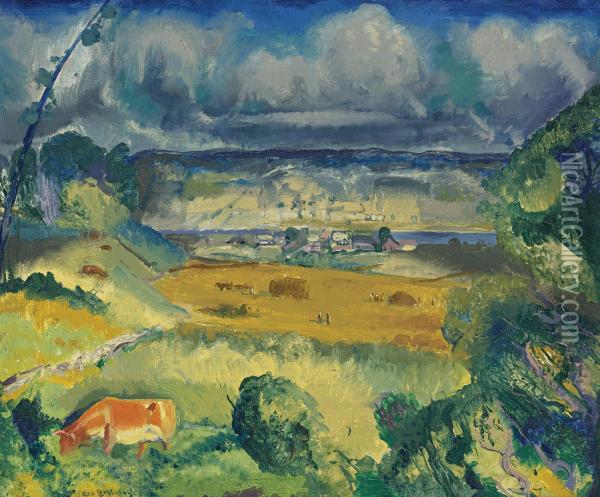 Clouds And Meadow Oil Painting - George Wesley Bellows