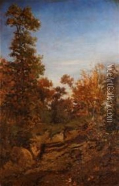 Foret De Fontainebleau Oil Painting - Francois Auguste Ortmans