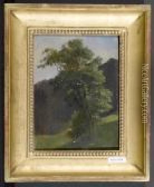 Landschaft Mit Baum. 1837. Oil Painting - Ludwig Halauska