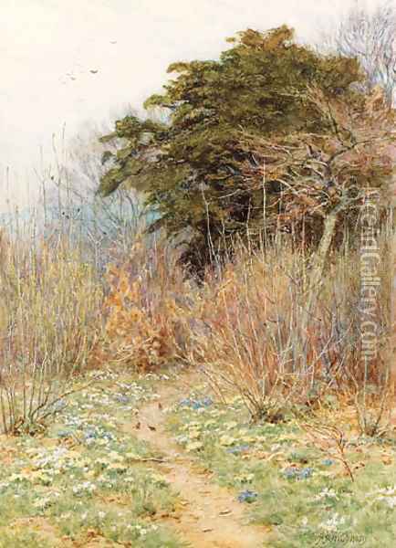 In a Spring Copse 'Here the white-rayed anemone is born' Oil Painting - Helen Mary Elizabeth Allingham