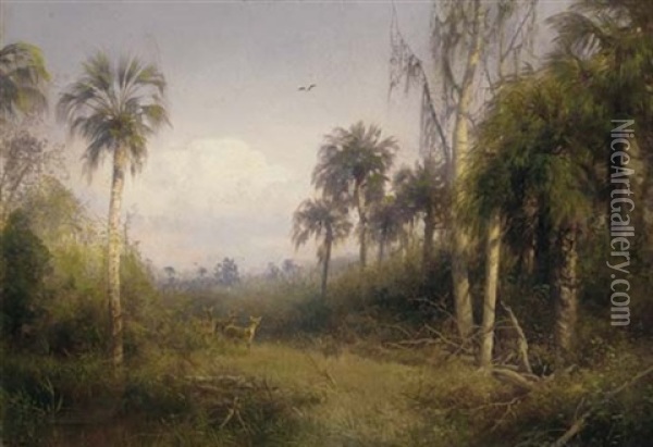 Florida Landscape Oil Painting - Hermann Herzog