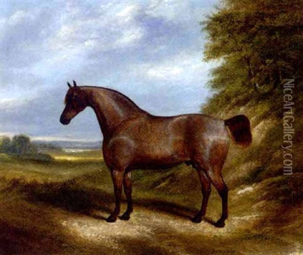 A Red Roan Horse In An Landscape Oil Painting - James Clark