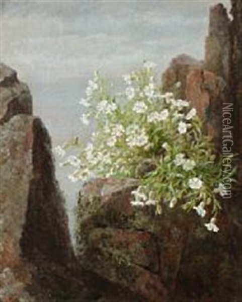 Wild Flowers At Kullen Oil Painting - Anthonie Eleonore (Anthonore) Christensen