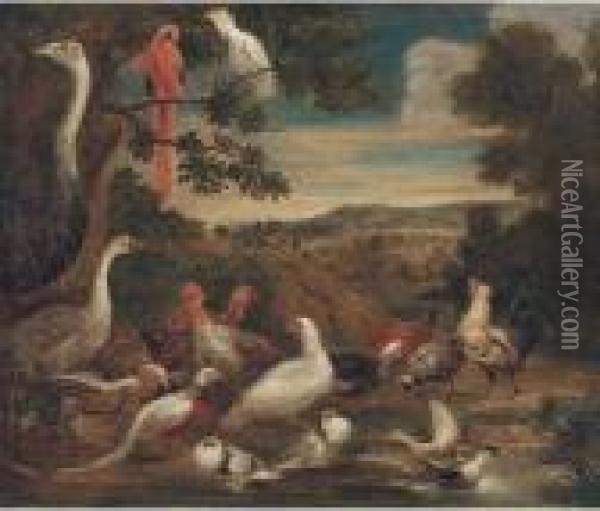 An Ostrich, Parrots, Turkeys, Woodcock, A Pheasant And Other Birdsin A Landscape Oil Painting - Melchior de Hondecoeter