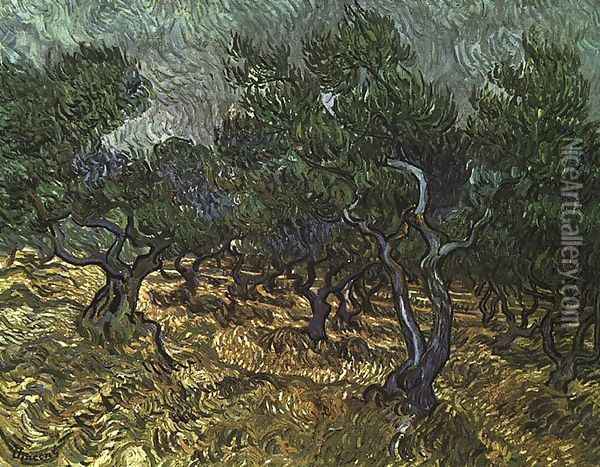 The Olive Grove Oil Painting - Vincent Van Gogh