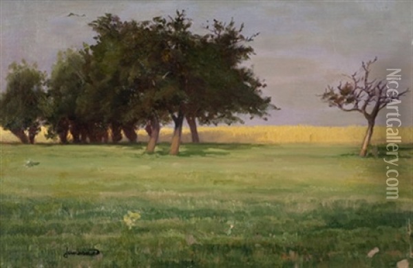 Open Field With Trees Oil Painting - Mathurin Janssaud
