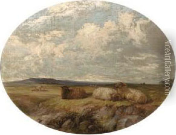 Sheep In A Meadow Oil Painting - Edward Pritchard