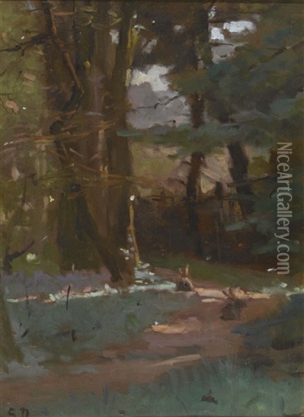 Der Waldweg Oil Painting - Simon Durand