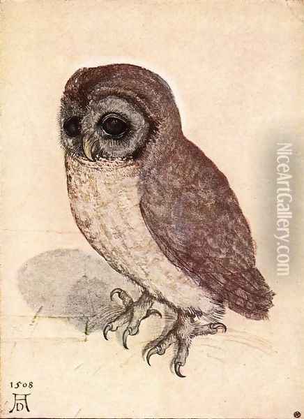 The Little Owl Oil Painting - Albrecht Durer