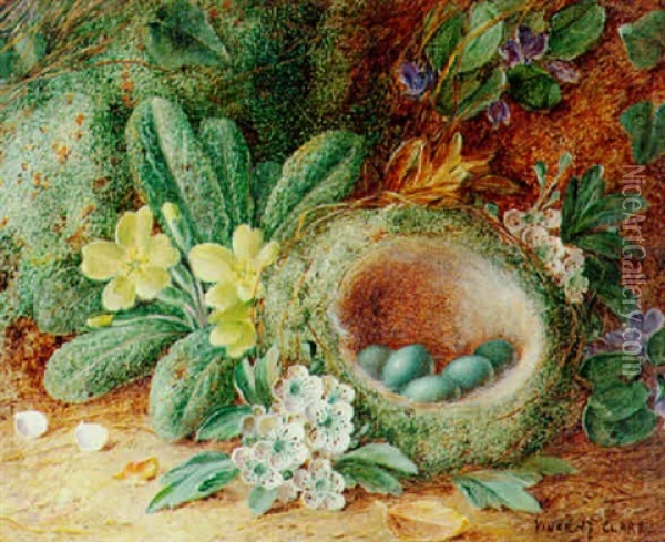 Spring Flowers By A Bird's Nest Oil Painting - Vincent Clare