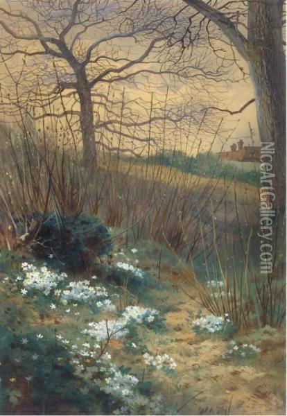 An Early Spring Morning Oil Painting - Archibald Thorburn