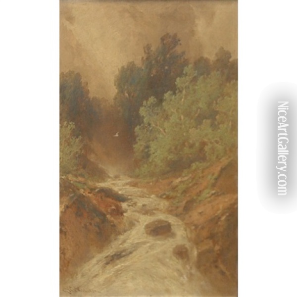 Falls Of The Bushkill Oil Painting - George Washington Nicholson