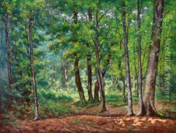 1911 Toulon) Sommerliche Waldlandschaft Oil Painting - Charles Vuagniaux
