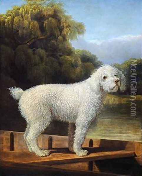 White Poodle in a Punt Oil Painting - George Stubbs