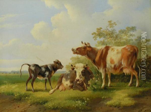 Kuhe Und Kalb Oil Painting - Albertus Verhoesen