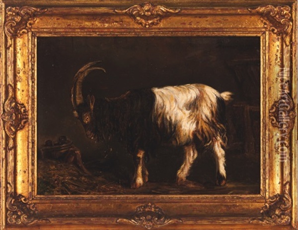 Goat Oil Painting - Tomas Jose Da Anunciacao