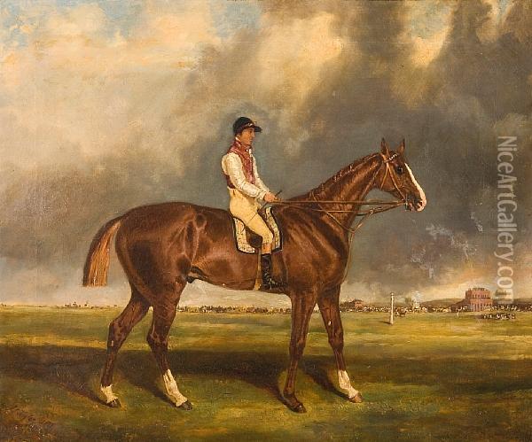 Racehorse With Jockey Up At Epsomracecourse Oil Painting - John Frederick Tayler