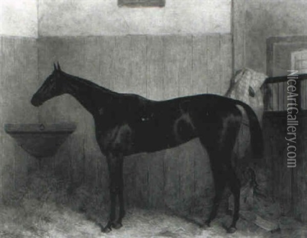 Achievement, A Dark Bay Racehorse In A Loose Box Oil Painting - Harry Hall