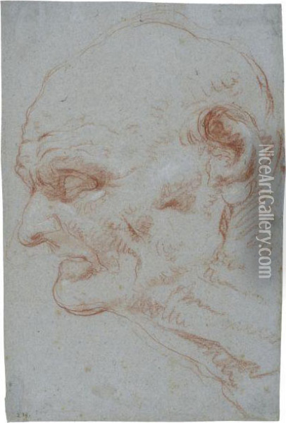 Head Of Seneca In Profile, Looking To The Left Oil Painting - Giovanni Battista Tiepolo