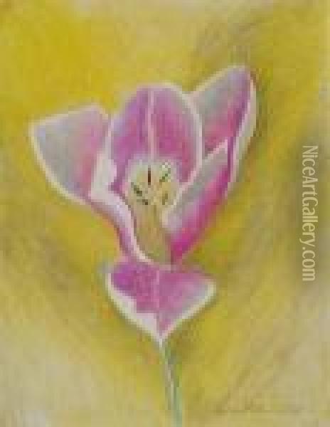 Flower Oil Painting - Joseph Stella